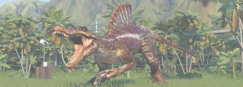 spino3